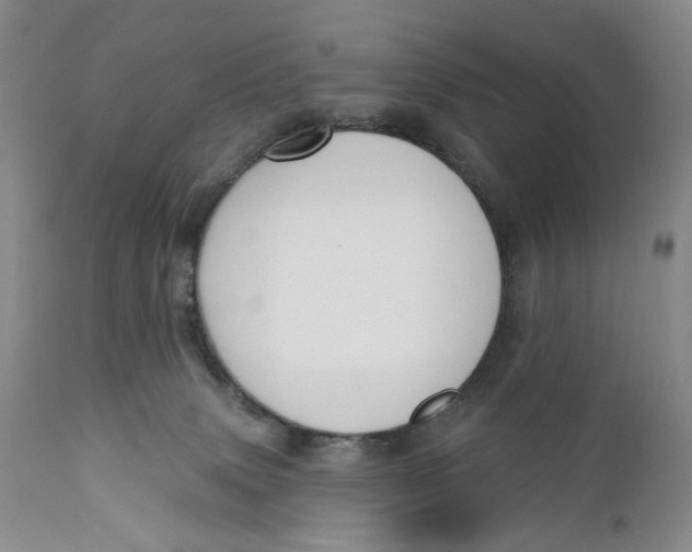 X0000110920083200907091507