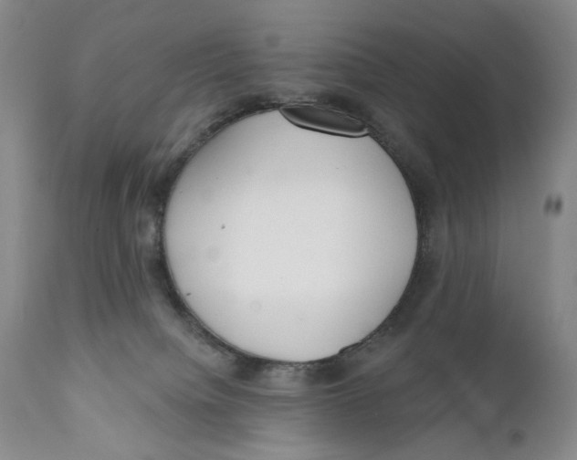 X0000110920084200907091507