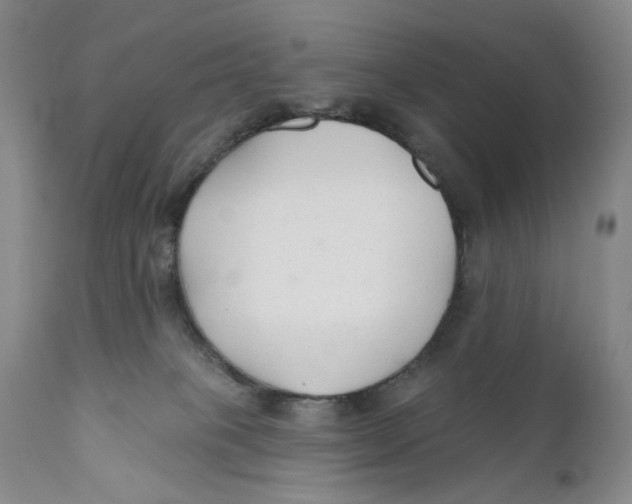 X0000110920085200907091507