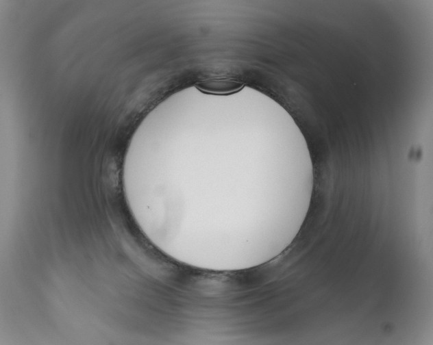 X0000110920086200907091507