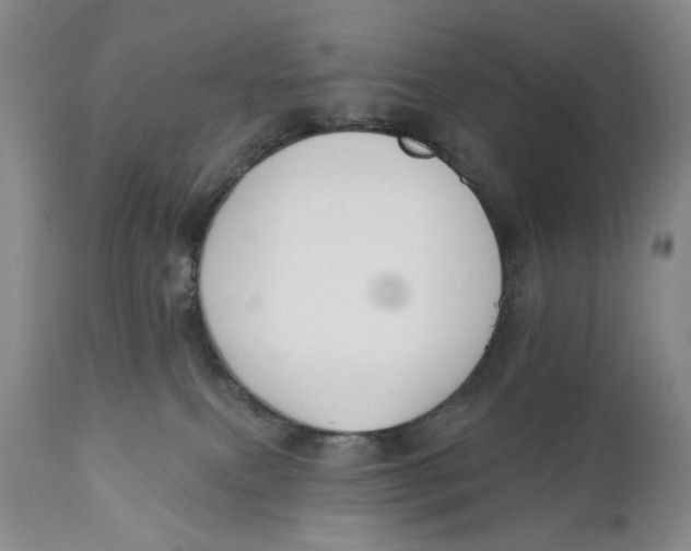 X0000110920087200907091507