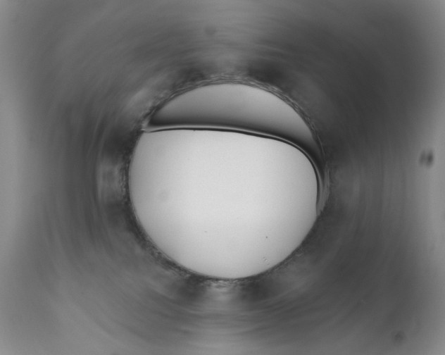 X0000110920088200907091507