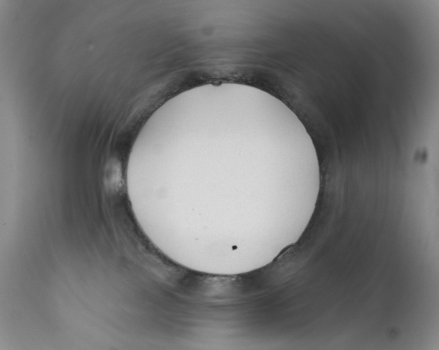 X0000110920089200907091507