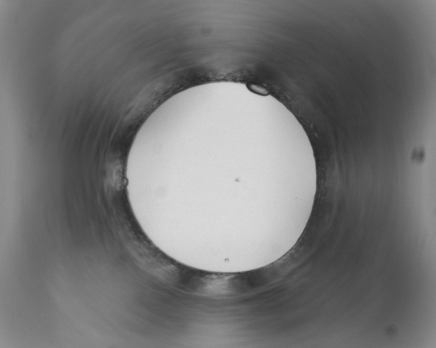 X0000110920090200907091507