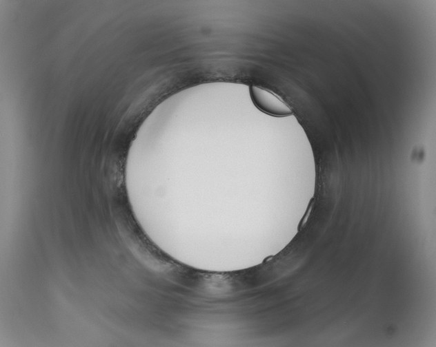X0000110920091200907091507