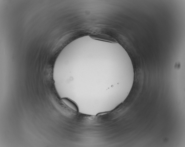 X0000110920092200907091508