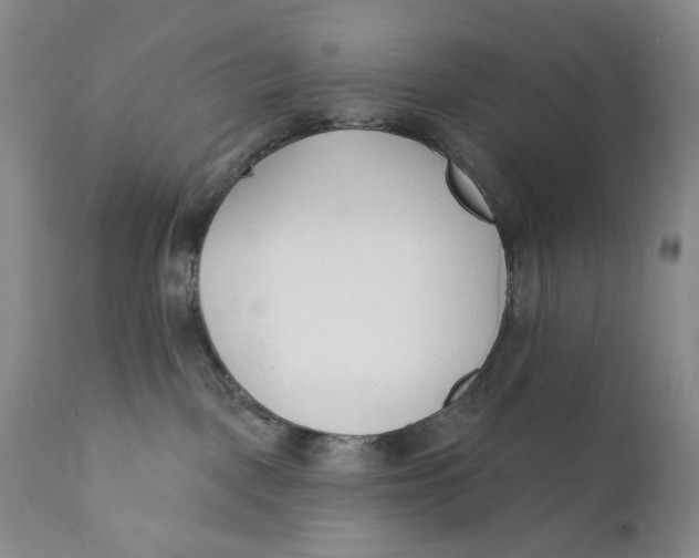X0000110920093200907091508