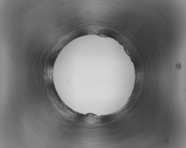 X0000110920094200907091508
