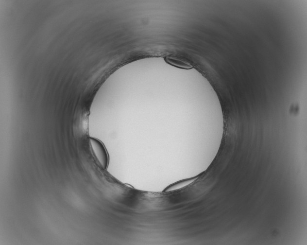 X0000110920095200907091508