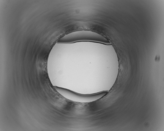 X0000110920096200907091508