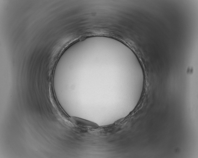 X0000110920097200907091507