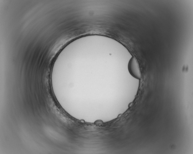 X0000110920098200907091507