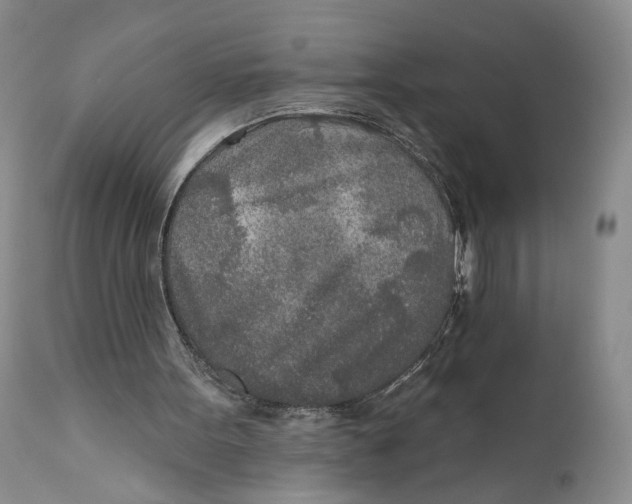 X0000110920099200907091507
