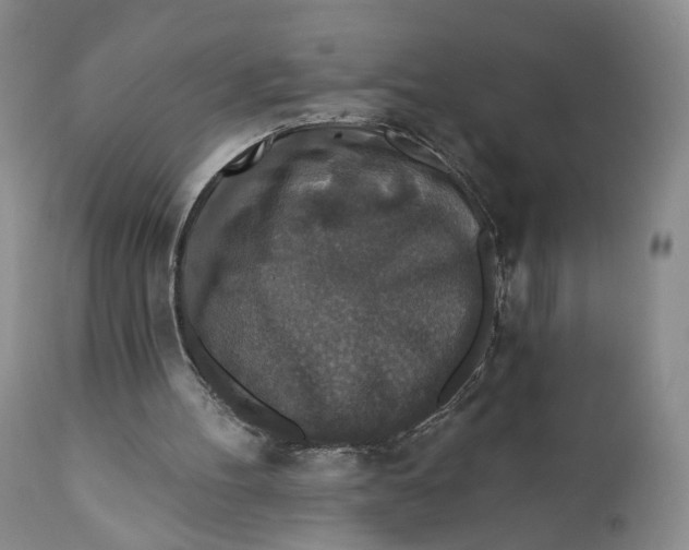 X0000110920100200907091507
