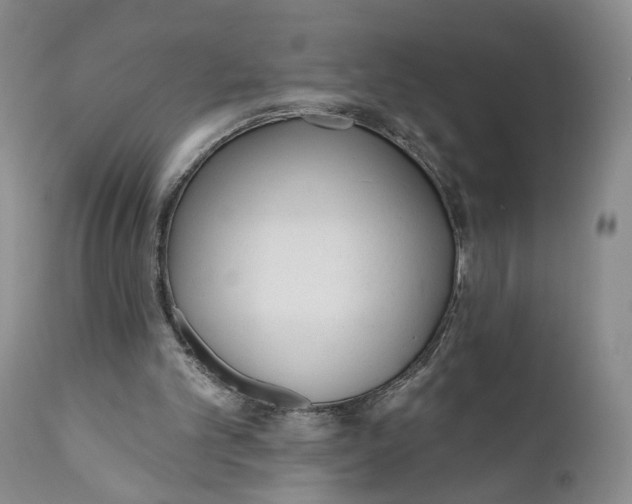 X0000110920101200907091507