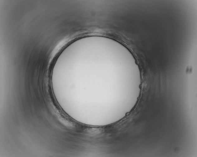 X0000110920102200907091507