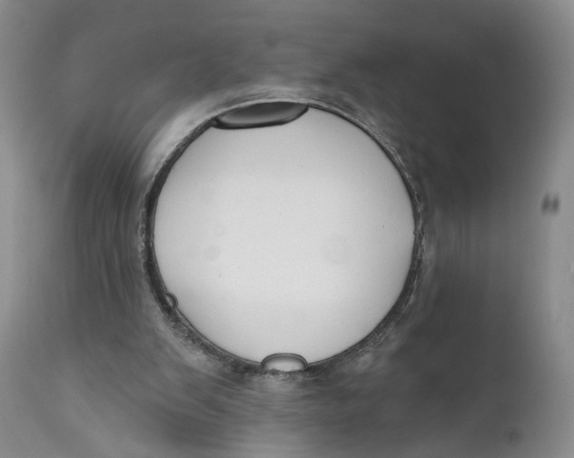 X0000110920103200907091507