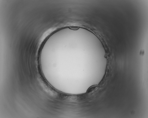 X0000110920104200907091507