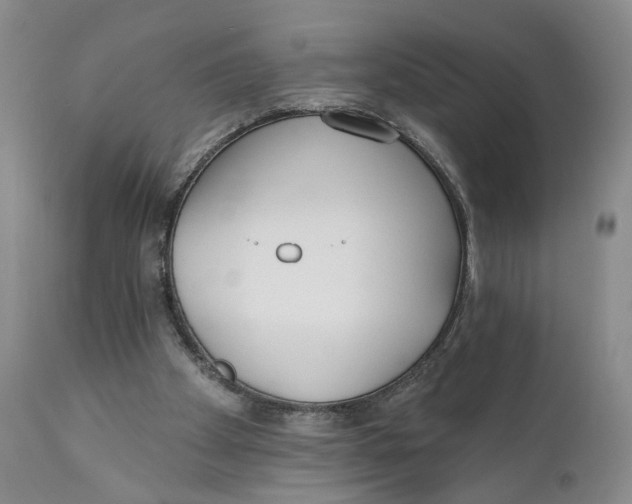 X0000110920105200907091507