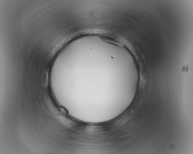 X0000110920109200907091507
