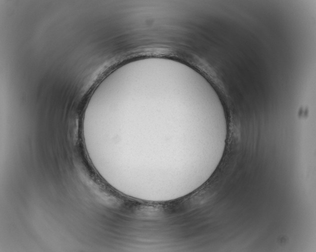 X0000110920110200907091507