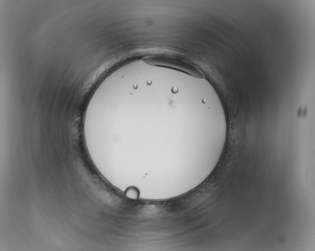 X0000110920111200907091507