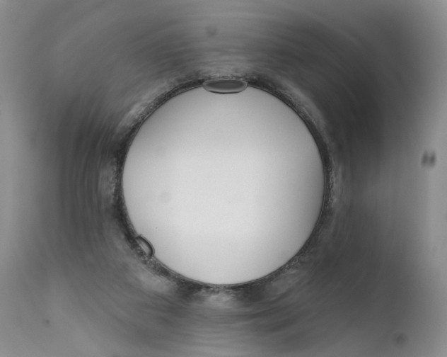 X0000110920113200907091507