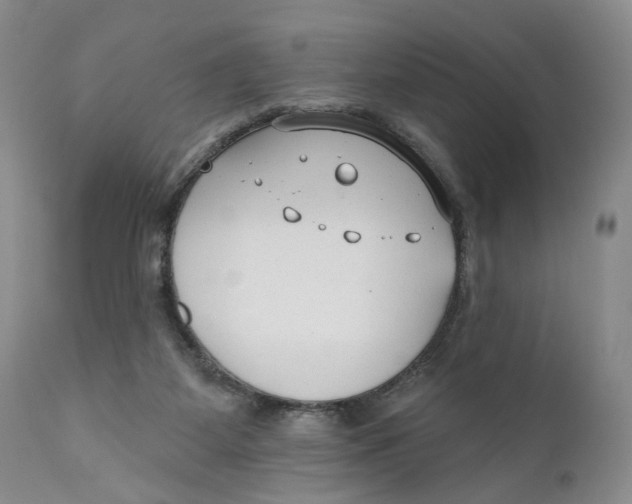 X0000110920115200907091507