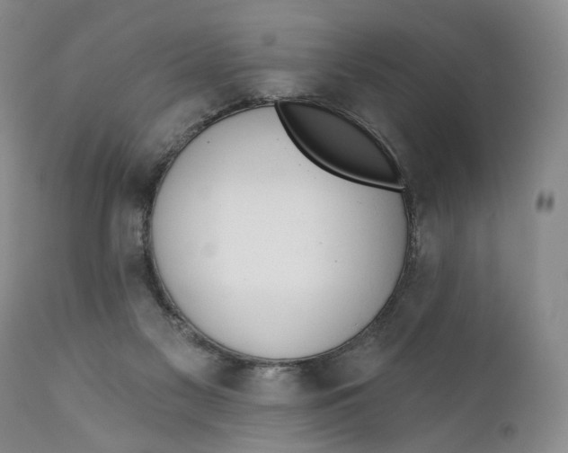 X0000110920117200907091507