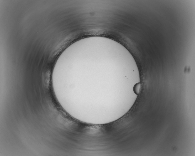 X0000110920118200907091507