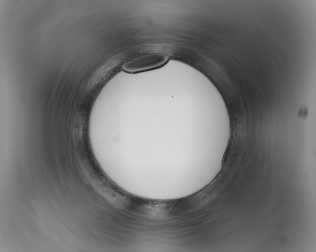 X0000110920120200907091507