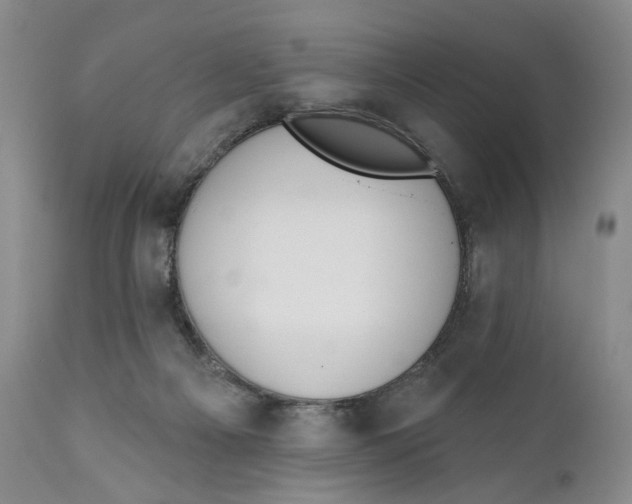 X0000110920121200907091507