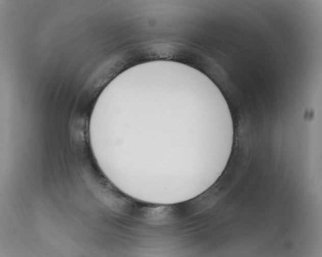 X0000110920122200907091507