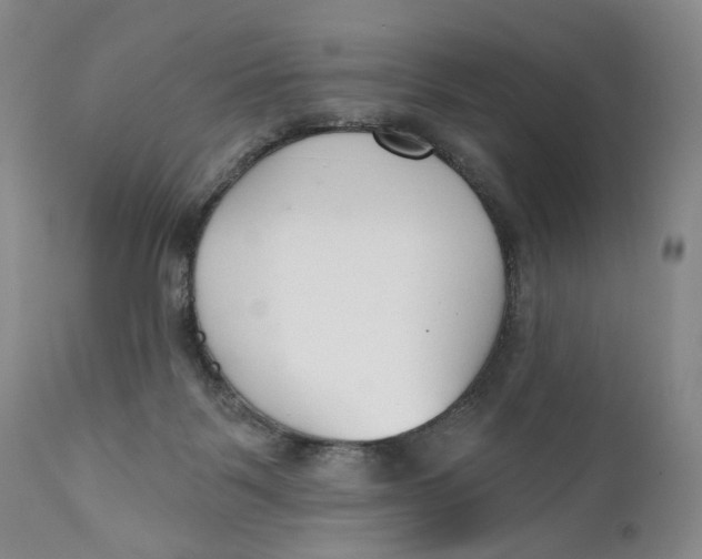 X0000110920123200907091507