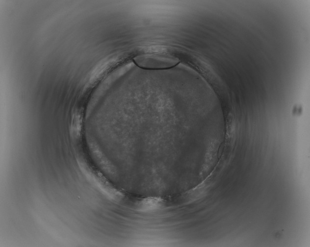 X0000110920124200907091507