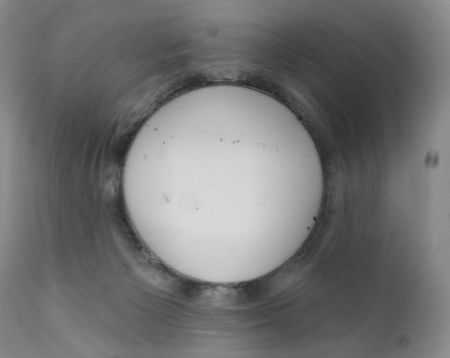 X0000110920125200907091507