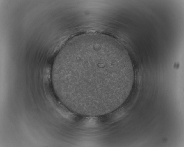 X0000110920127200907091506