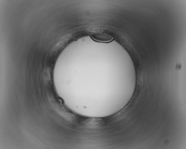 X0000110920128200907091506