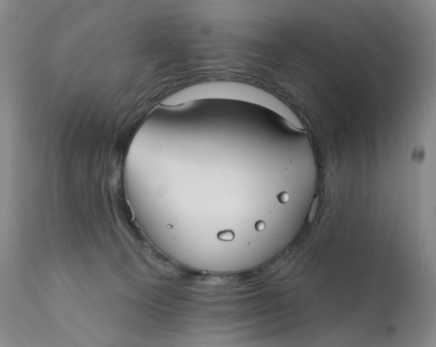 X0000110920129200907091506