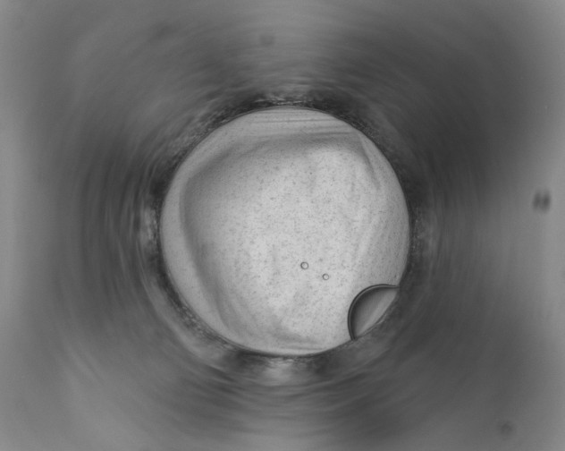 X0000110920130200907091506