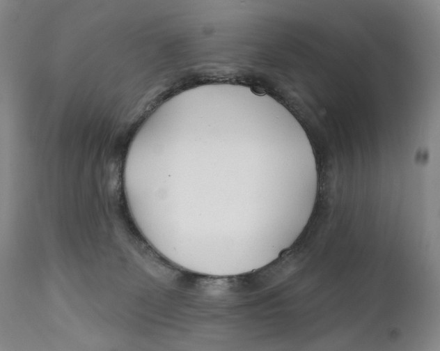 X0000110920131200907091506