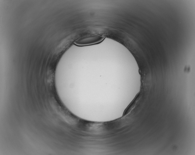 X0000110920132200907091506