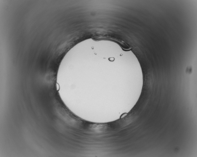 X0000110920135200907091506