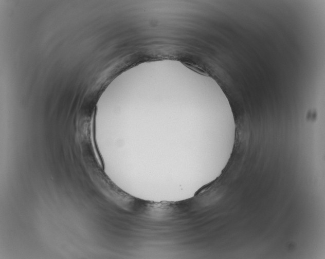 X0000110920141200907091506