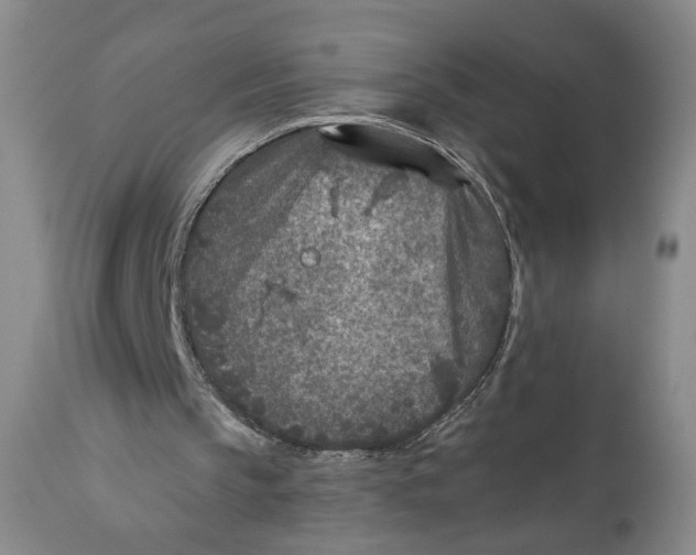 X0000110920145200907091506