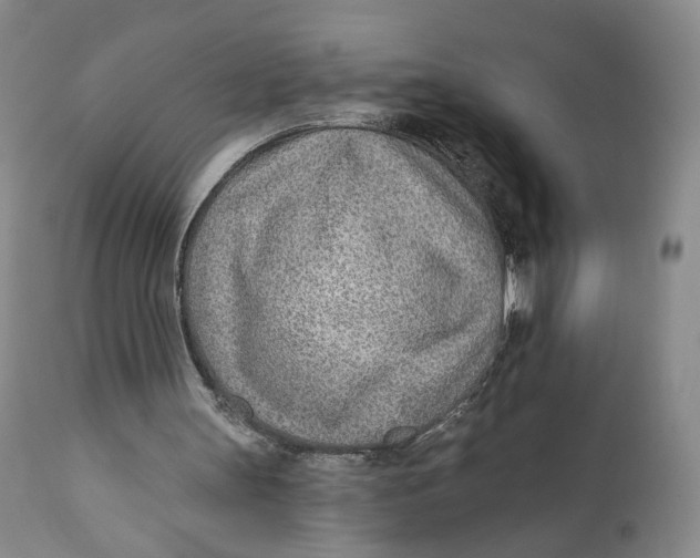 X0000110920147200907091506