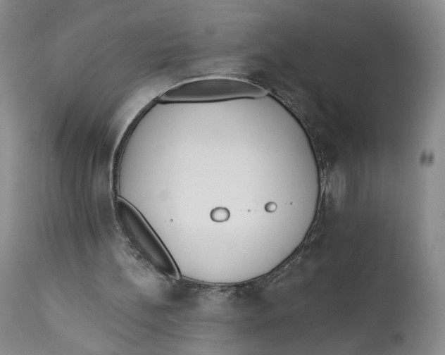 X0000110920148200907091506