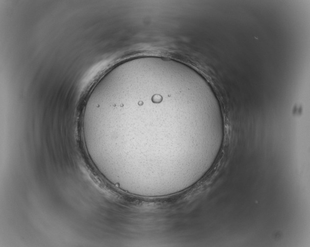 X0000110920149200907091506