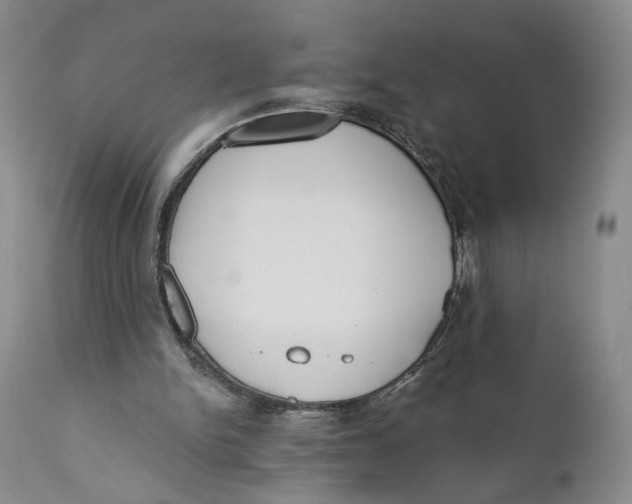 X0000110920150200907091506
