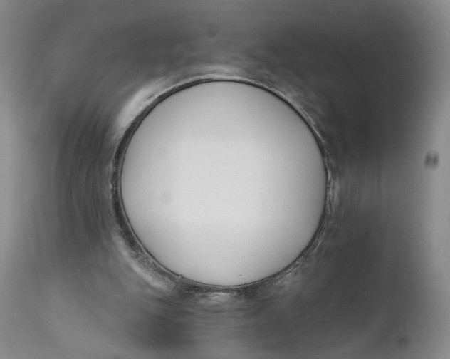 X0000110920151200907091506